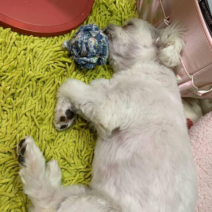 661eb491 56f6 4950 b8e2 4713e762e93e 1708785589567