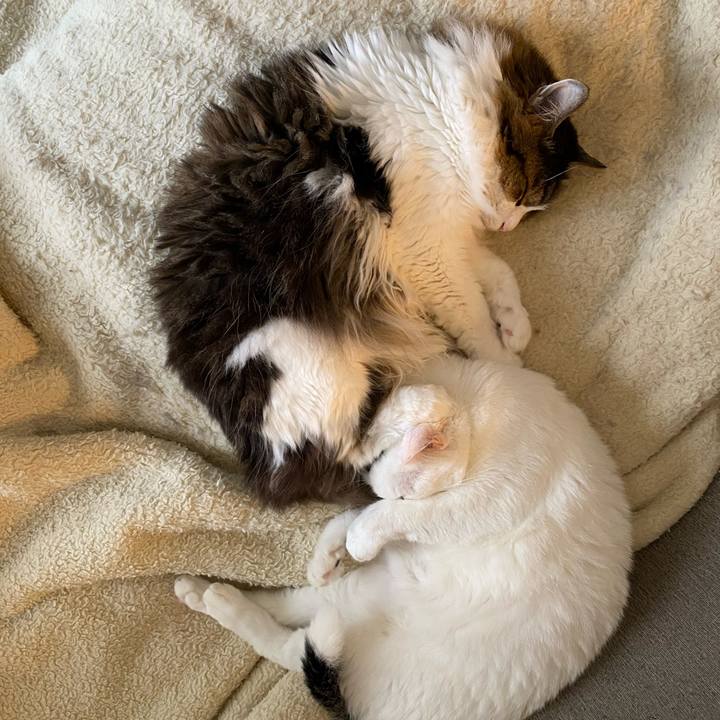 661ef74c 4cf9 432b a4d3 56cbc3b6dff3 1667603870229