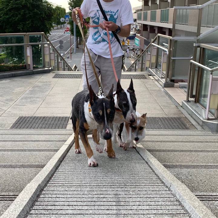 661f1d94 9e9b 4e2e a8c3 fe6aa3c0544b 1590326293220