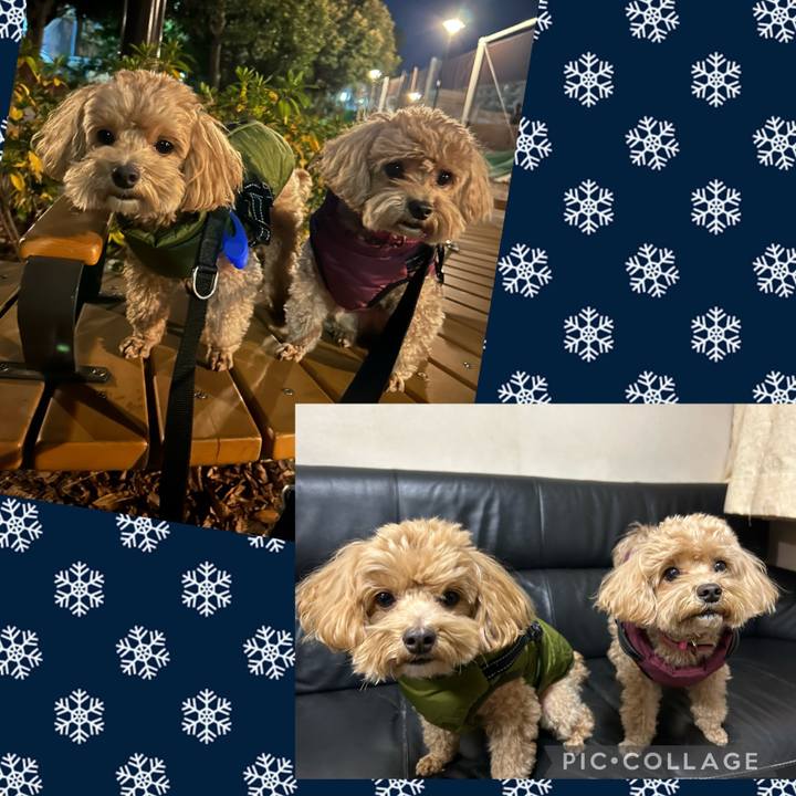 661f3de8 231b 4130 9ec7 a22d8a01bf05 1703160738949