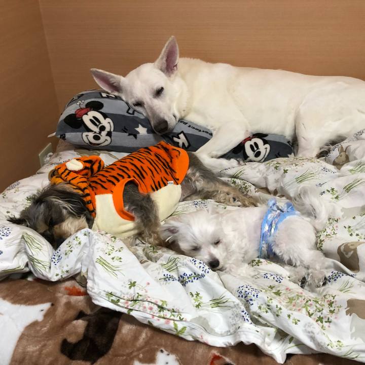 661f61b4 6f9a 49e1 8031 f433311e4275 1551252079133