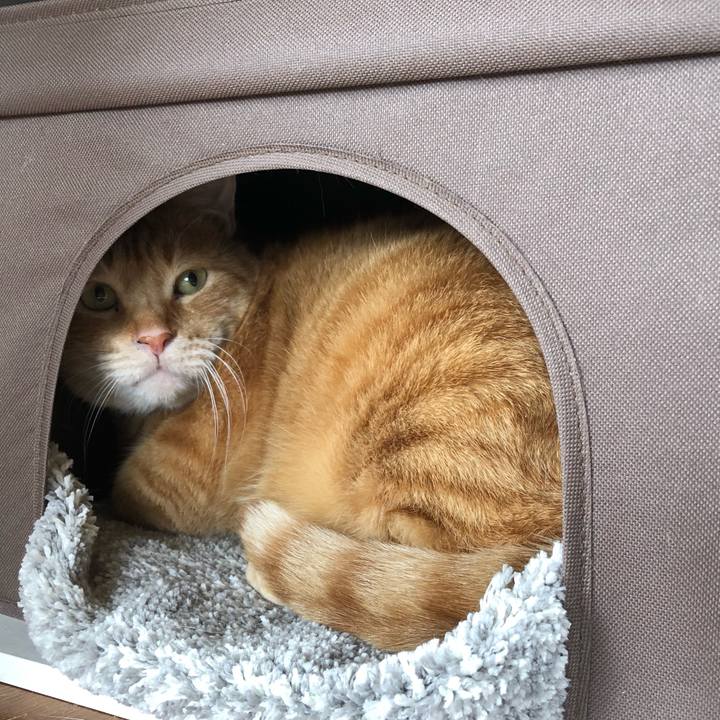 661f6295 d325 495a a826 11a462fd79e1 1589940244952