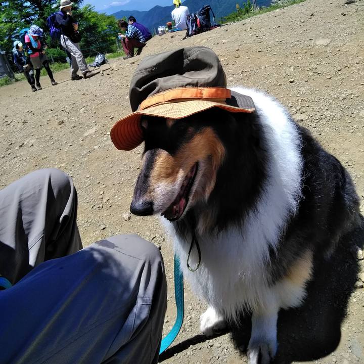 661f6ce1 681a 4cad 9523 0965a558db6b 1528030143312