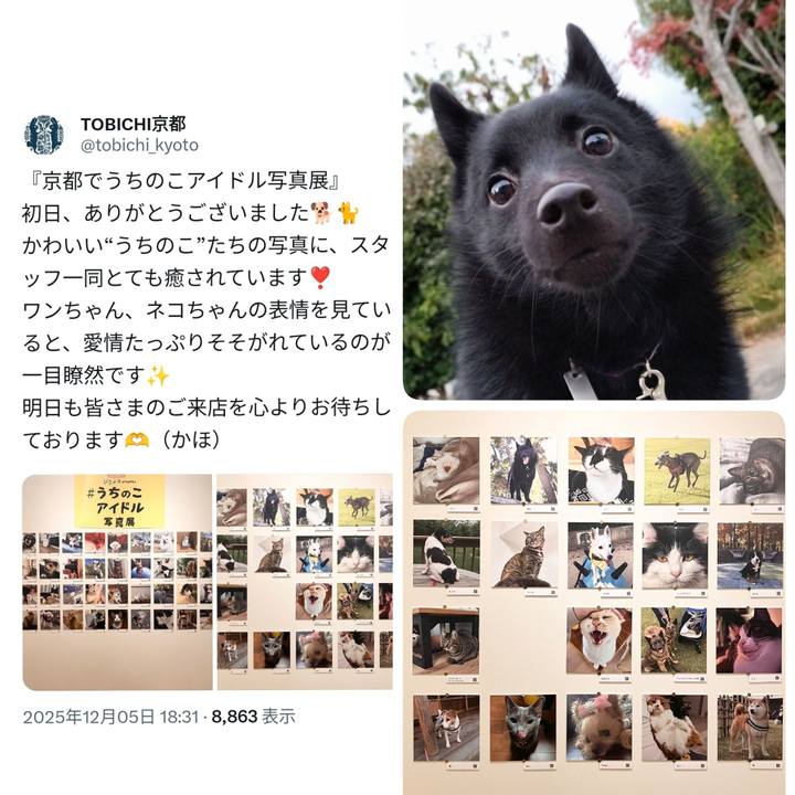 661fe941 319f 4429 bfb4 bd81e0457334 1764993402502