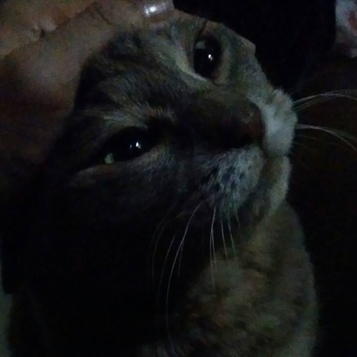 661ff9ef 1494 4f18 953b 18cd9eb480f2 1597921475041