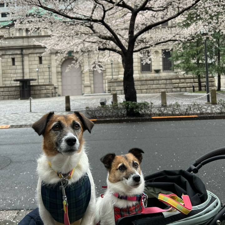 661fffe6 5d44 4438 98bd 0e87cff7ce21 1679750624068