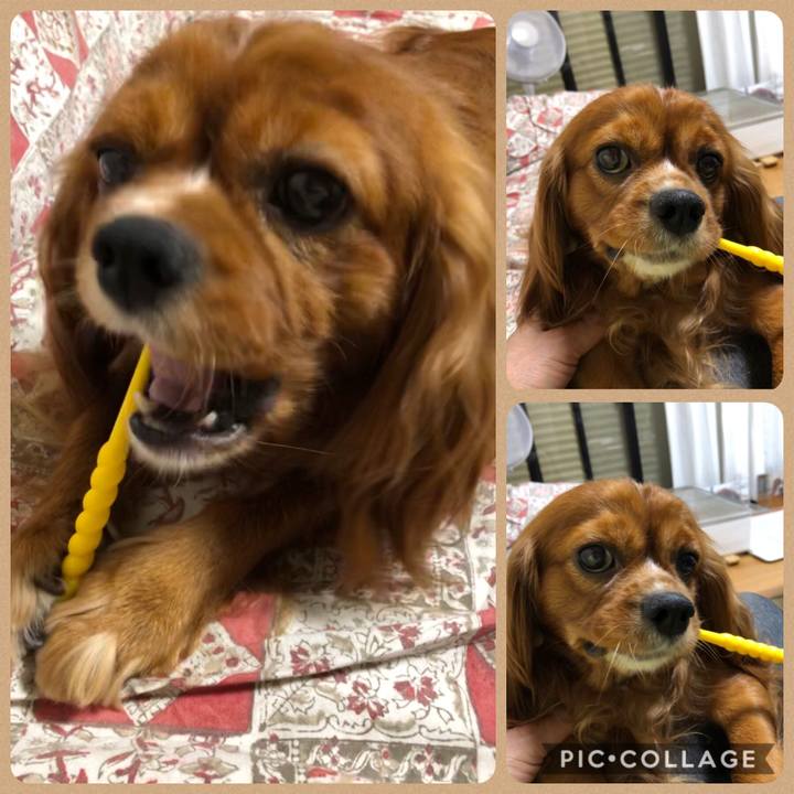 662006d9 2199 4066 9804 dcd10b9c2c4f 1594036097420