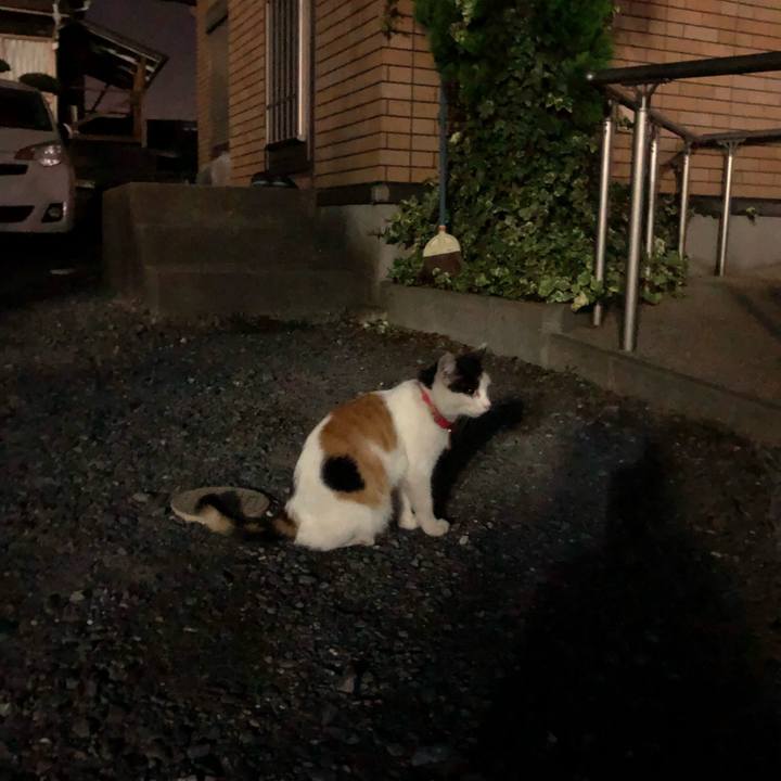 66201aac 37cb 4a45 b0b9 e80284a508c6 1633432938746