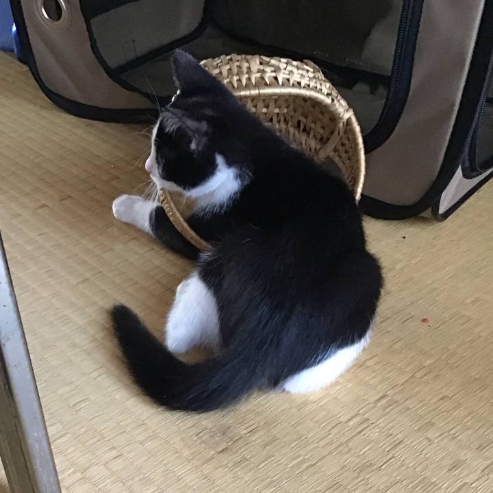 66202c4c 0348 4b8b 8f4e 54cb3febead1 1625277509103