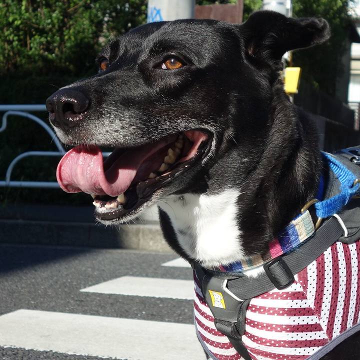 66203608 7b4b 454f 8750 b1f0eb3d33df 1658705928189