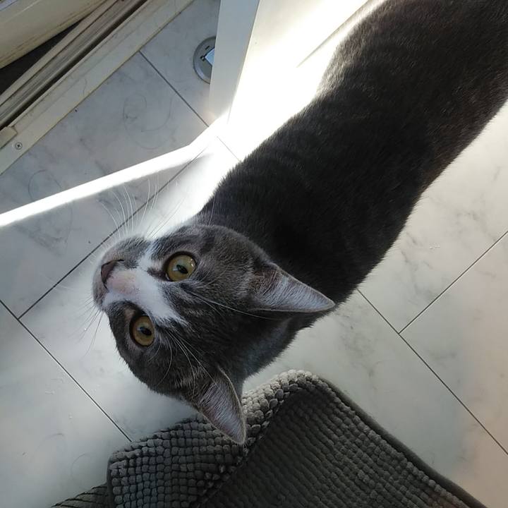 662041d1 88bd 4094 96f5 0e535e4a80bf 1580944146022