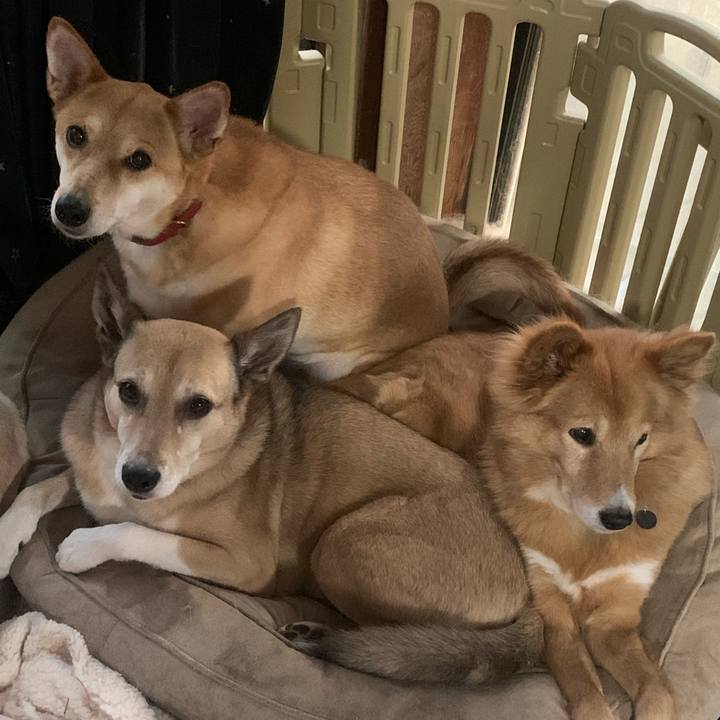 6620585c a9d5 497f 9bb4 a6e84ba801b0 1702783361530