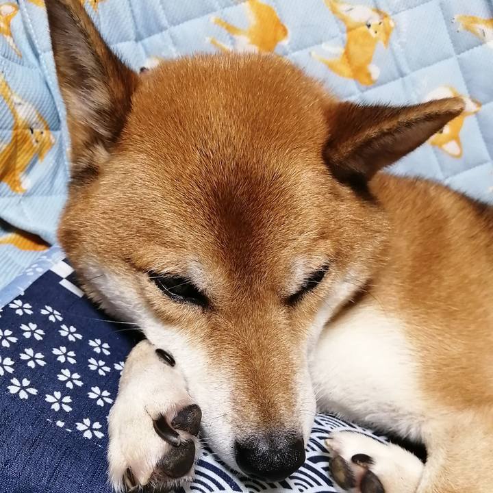 66205d9e 8c03 4938 bbb1 96aab532d87f 1603445101944