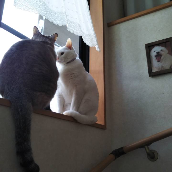 66206f8d d6a9 468e b9c7 9623b20a06c8 1616642559946