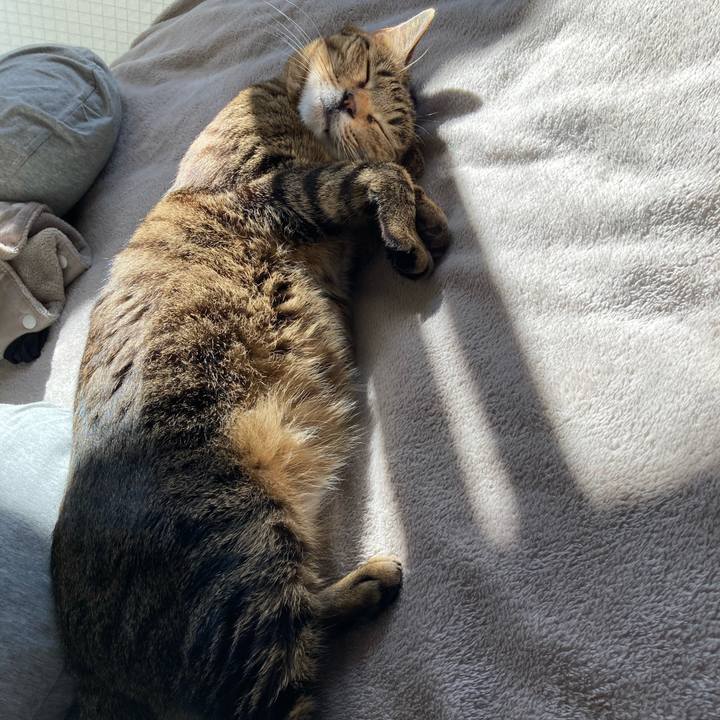 66207286 3e15 4e56 9513 d40baaa66760 1612015456499