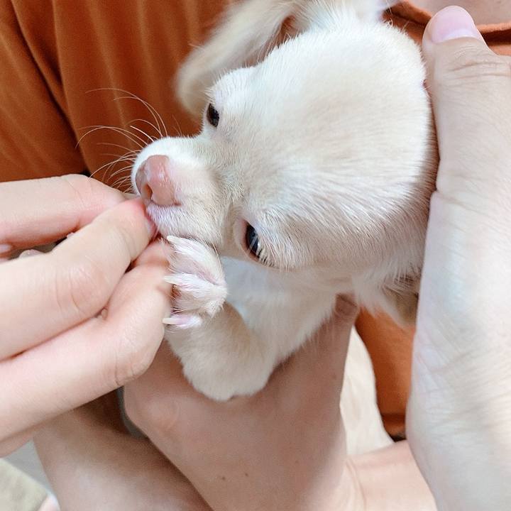 66207ab9 d75d 47bc be2f e31c54e1f630 1594522699318