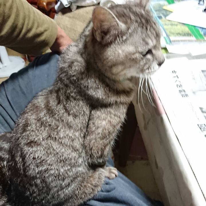 66207b2c e104 40ba 811f 519b906bf028 1561843681597