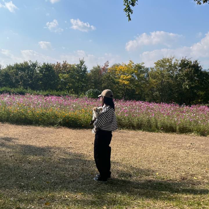 6620c29f 2086 4224 a979 778779bc63ac 1732252413737