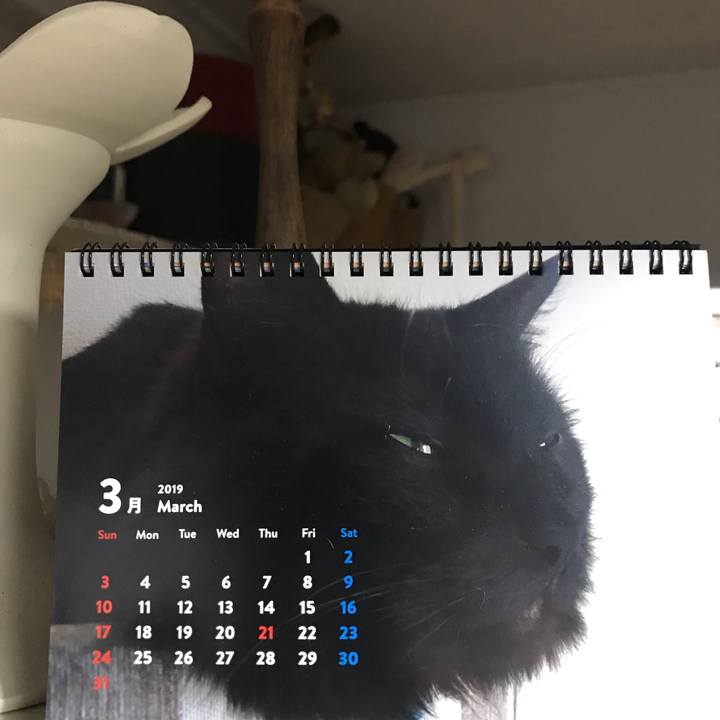 6620c4c5 376f 48e2 bac7 03c2bb0d857f 1551944854692