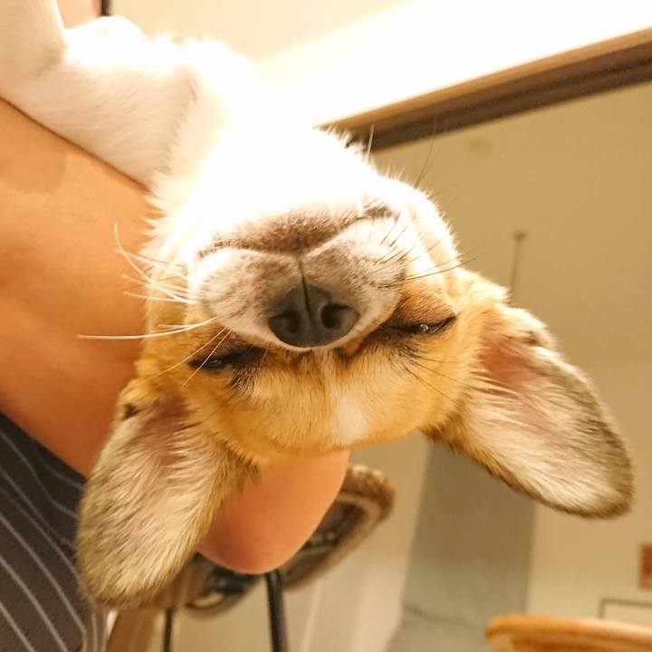 6620d558 fbef 493f 9734 fc2316bbc758 1570528381915