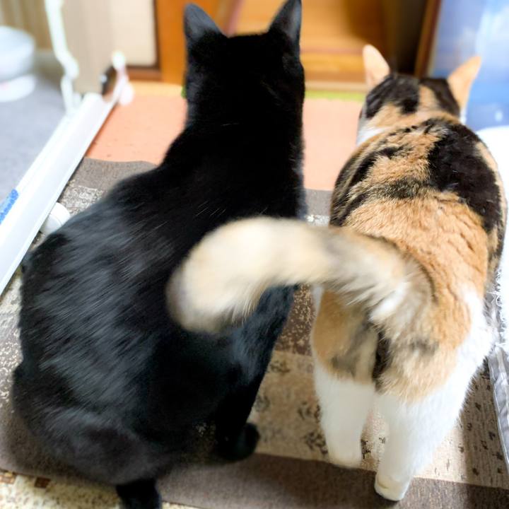 6620e296 8d6e 4d56 ae89 2a7e732d4820 1583716256424