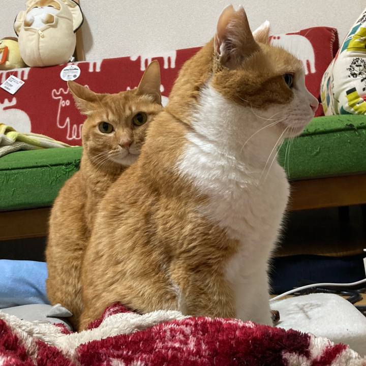 6621044d ec4a 408b 93c8 d6108a920c1a 1775826835243