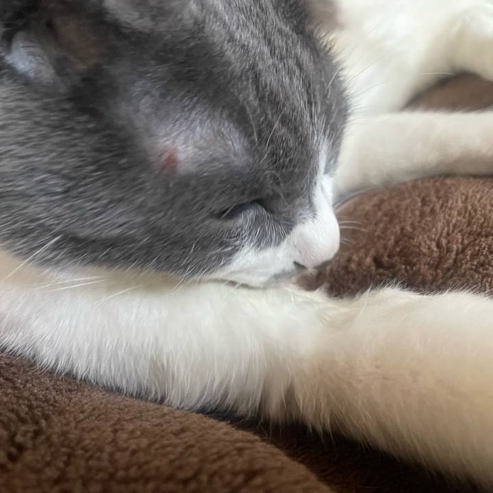 6621b12c af77 4165 9df3 843a00bb807c 1654583030415