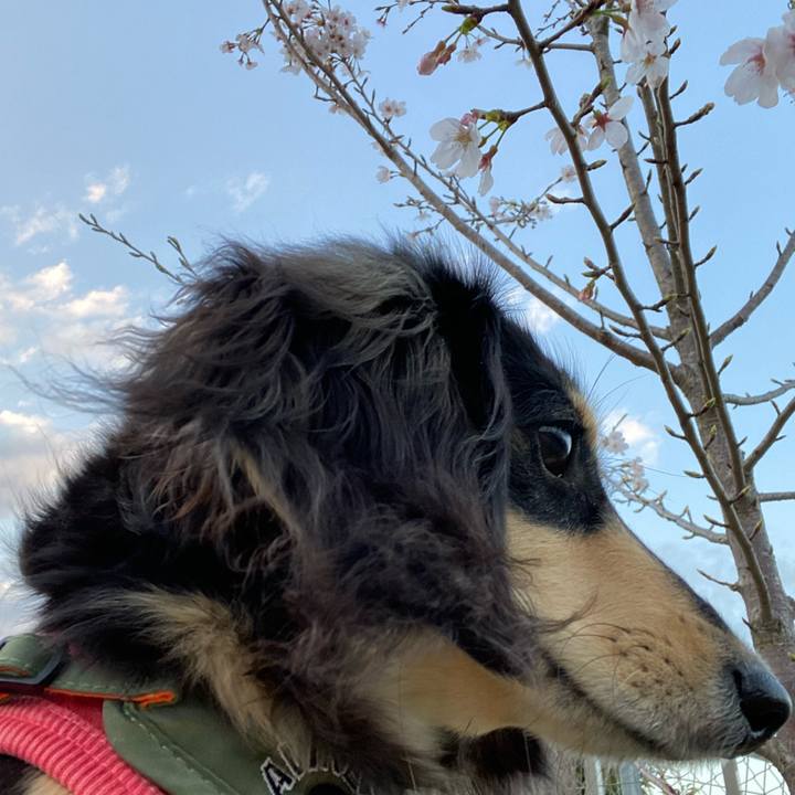 6621c753 fa06 4690 8b8d 4b020128eb17 1679996910008