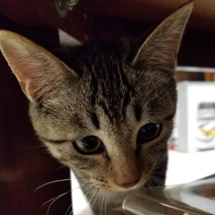 6621c93b 0761 4c00 b063 4f66aa3be4cd 1668784999279