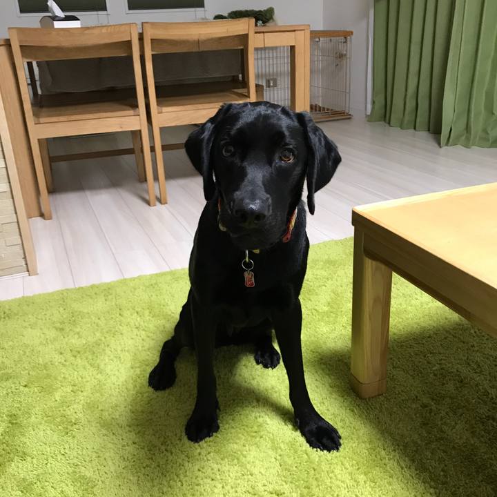 6621d1cc a0d4 42c2 a5cf dd117e8d8d19 1508503989842