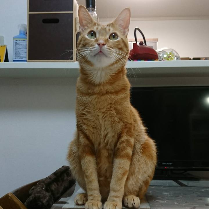 6621d737 569e 4bdd a315 47a5b10744d7 1514463334078