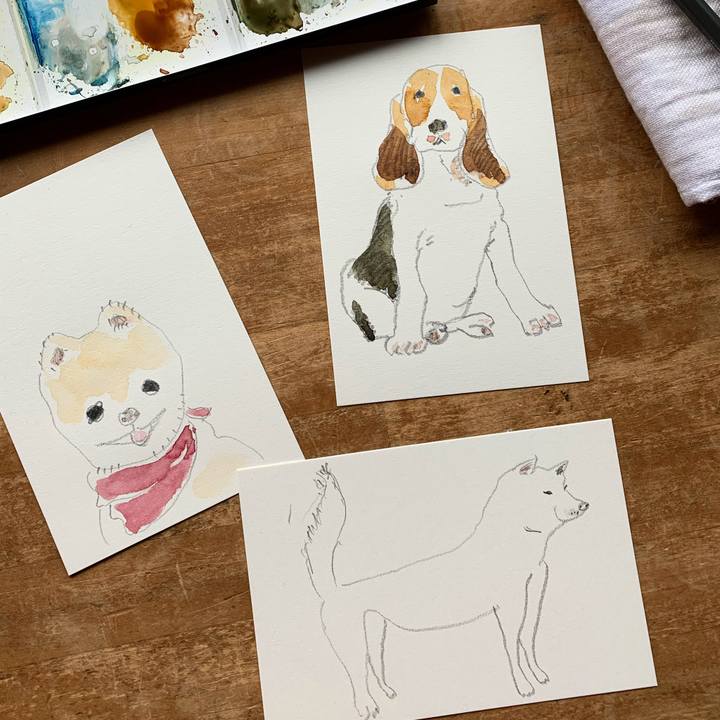 66220959 f4fa 49b8 9d39 8ea2fc2e6c46 1581913631861