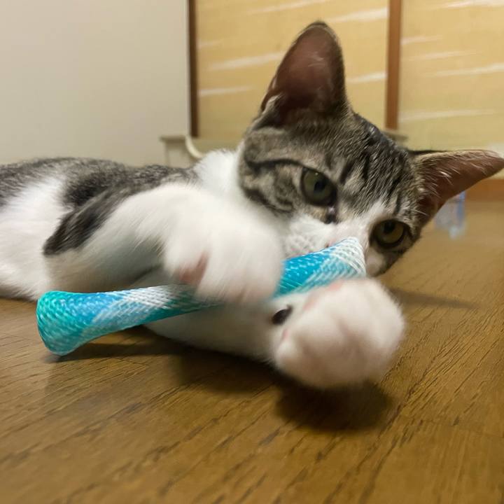 66220f10 c12f 4f2e b586 c666ce2bf171 1724839375366