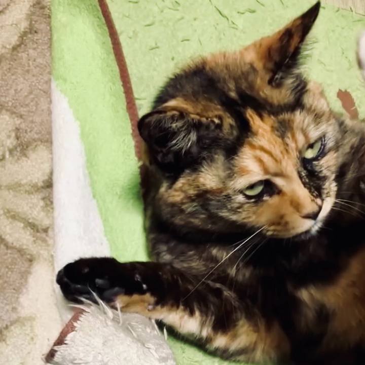 66221501 88d7 45cd 975d 51e1496d2ec6 1734868008224