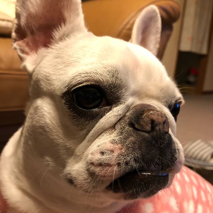 66223865 b6a2 4224 98db c4346d158217 1581245815761