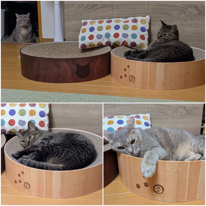 6622390f c5a5 4f54 8a64 417409f5aba5 1744184993976