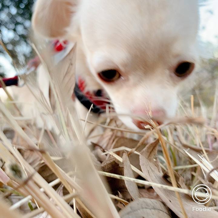 6622507b 3274 4256 bc4e fac38a8c7335 1607336586043