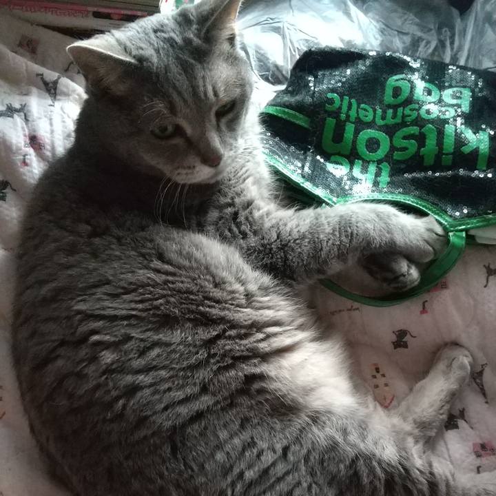 66226e7f 58d7 4d56 b984 20ed2a2ba48a 1625382345258