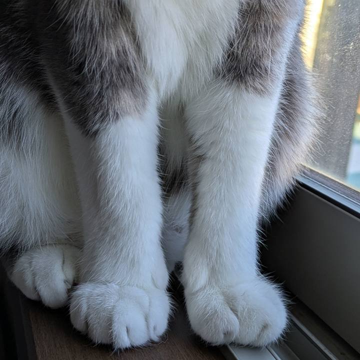 66229492 3bc6 4496 8560 32efbb1a3d98 1733533325073