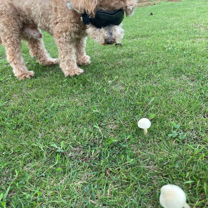 6622a77e 3bac 406b b013 da4adb633f3a 1758004017286