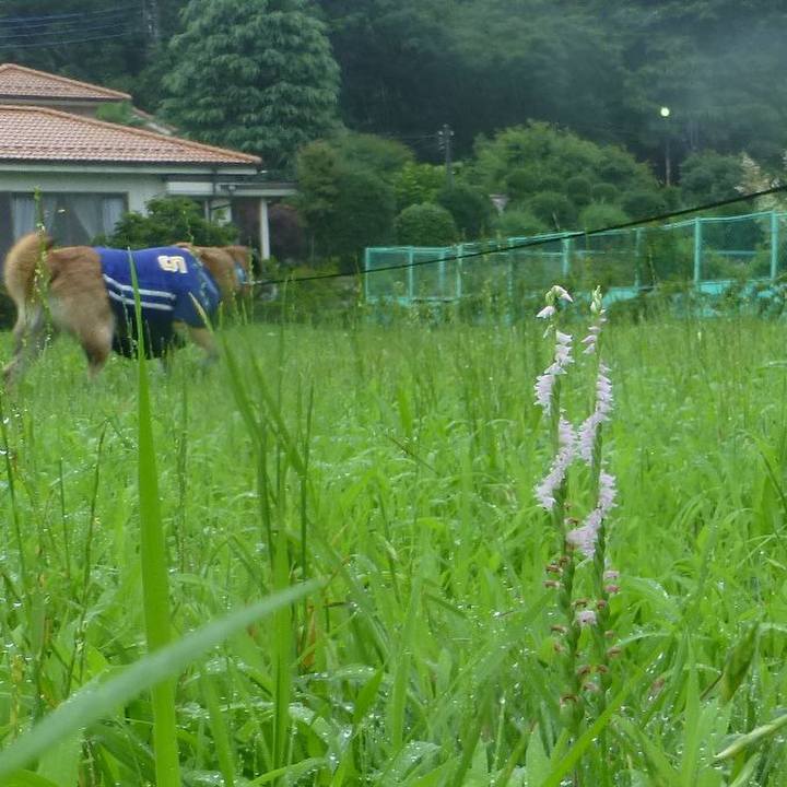 6622d115 27af 4b11 95cd 9363fc19fa08 1580173001179