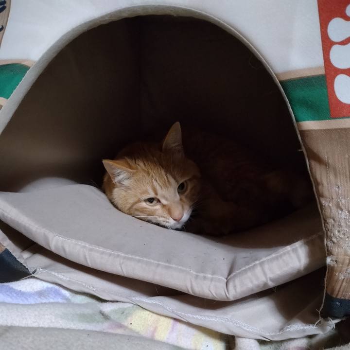 66230dbf 4b8f 41e9 9991 a51f47703258 1681822661571