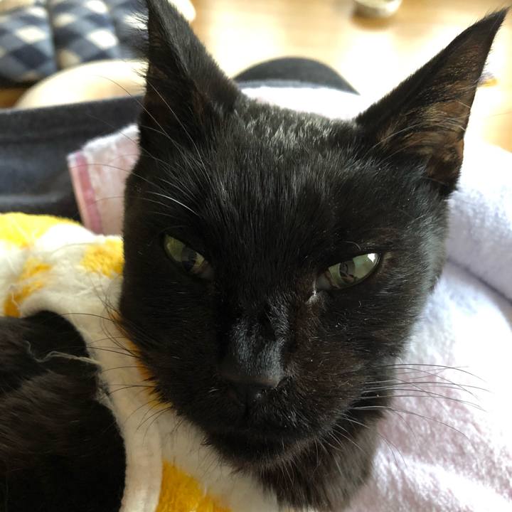 662311aa 22ea 49f1 8e1d 47b865519ea9 1556442430556