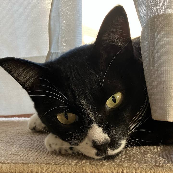 6623211d d8a0 405d afa5 141b957425d5 1667632355747