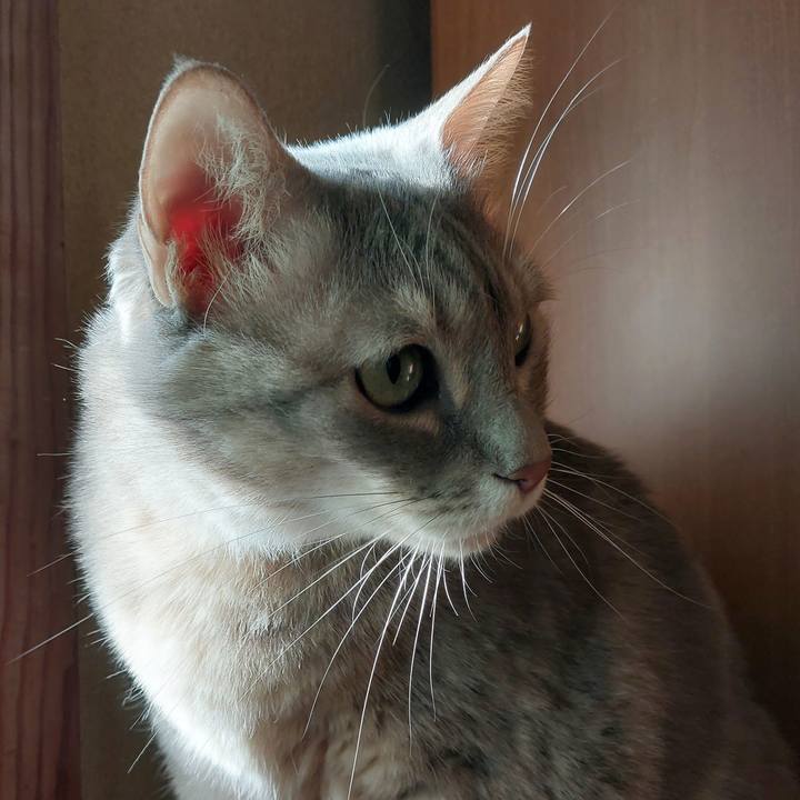 66233fc2 1e42 4c2c aa4b 2a63705d5897 1710736500898