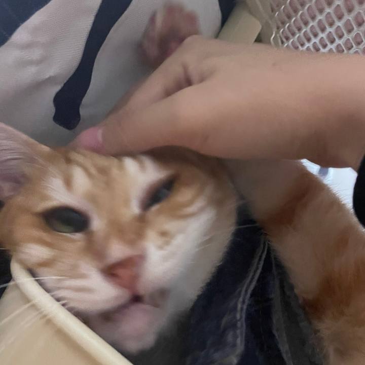 6623497c 14a5 4100 9f93 10781048777f 1646127071886