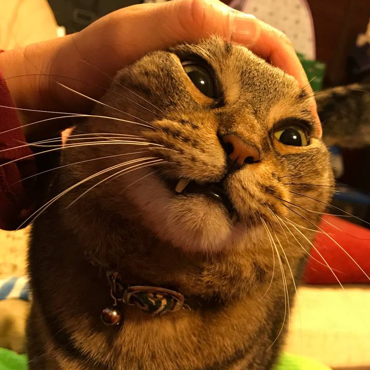 66235e3a efd0 407f 8c4f 43705ad9b6c9 1509555753841