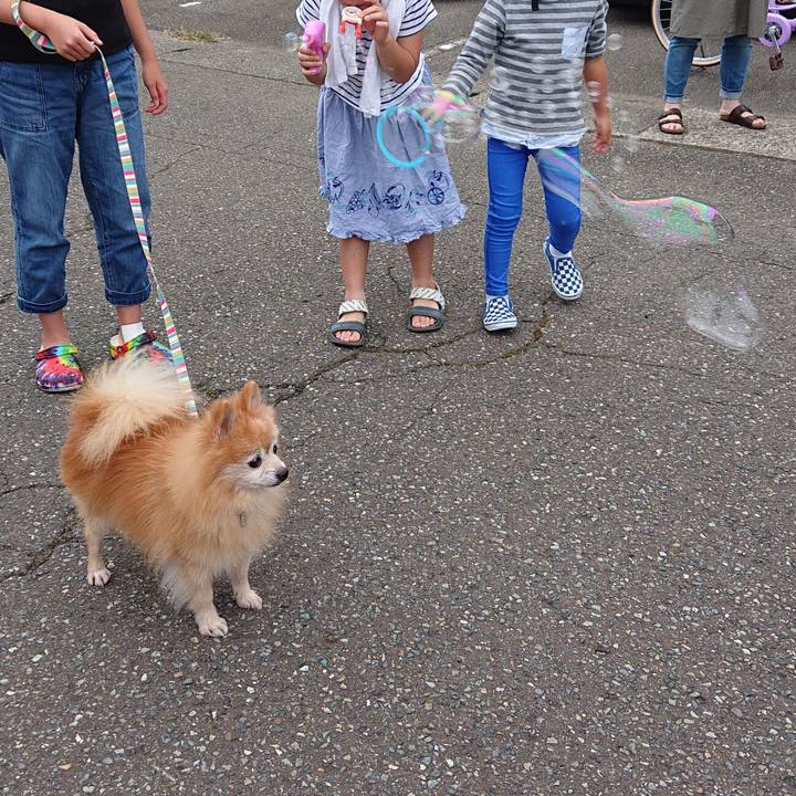 662399cd c413 4287 852b c3f57db5a95f 1601810508738