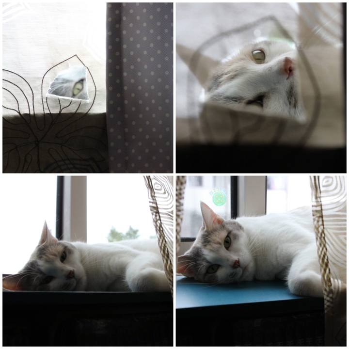 6623b52f 1e27 481d bb77 df8e19579d25 1660198829957