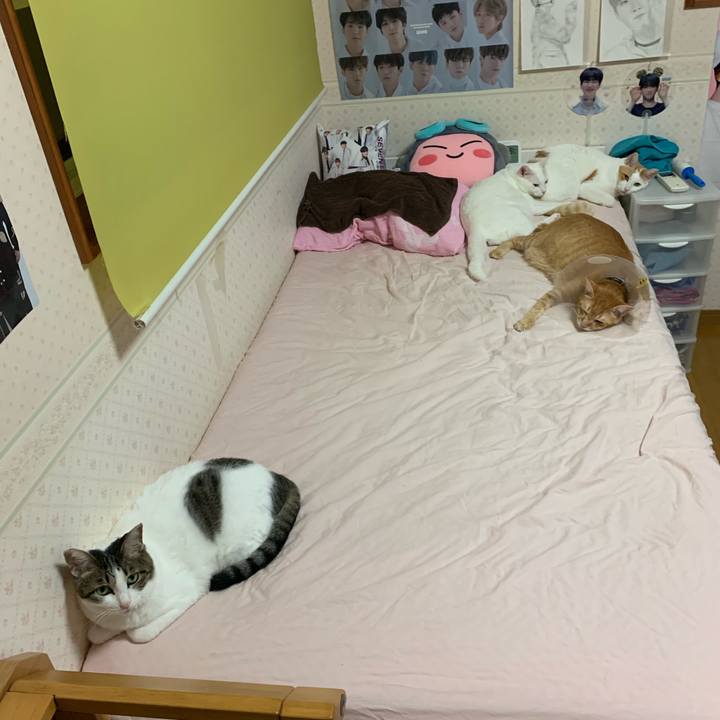 6623eba9 0d4b 4e8c b99c f352d2c05bc7 1568562316502